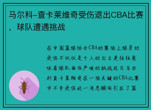马尔科-查卡莱维奇受伤退出CBA比赛，球队遭遇挑战