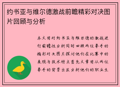 约书亚与维尔德激战前瞻精彩对决图片回顾与分析