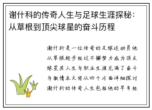 谢什科的传奇人生与足球生涯探秘：从草根到顶尖球星的奋斗历程