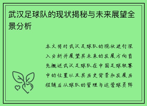 武汉足球队的现状揭秘与未来展望全景分析